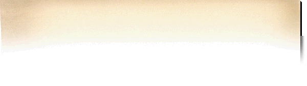 legacy insurance florida